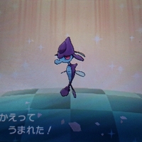 色違い 国際孵化進化 ドラミドロ Usum キロの色違いポケモン図鑑ブログ