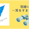 羽繕い　～耳をすますと～
