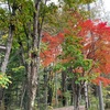 秋先どり　10月