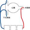 紫色先生、二審勝訴判決文要旨