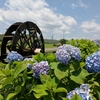 高知県西部でアジサイと水車の風景を楽しんできました