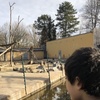 動物園に行ってきた。