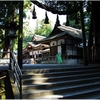 大神神社写真館（５/２８）