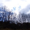 里山空風景