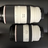 この時期に敢えてCanon「EOS R3」に突入した話⑰〜「RF100-500mm F4.5-7.1 L IS USM」導入のわけ　Part２〜