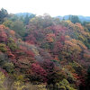 紅葉山