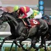 オールカマー（GII) ゴールドアクターが勝利 「競馬レース結果ハイライト」2016年≪競馬場の達人,競馬予想≫