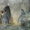 豊橋総合動植物公園 のんほいパーク