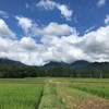 2021/07/28 水曜日　入道雲