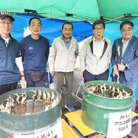名物「アユの塩焼き」を販売。雨天も家族連れなどで賑わう