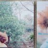 aiko 1st Album 『小さな丸い好日』