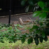2025-06-01｜解体進む上野動物園モノレールの現状