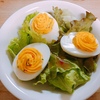 万能 お料理の味をワンランク上げてくれる 鶏のだし汁 フォンドヴォライユ のおいしい取り方 ぷくぷくデリカ 万能 お料理の味をワンランク上げてくれる 鶏のだし汁 フォンドヴォライユ のおいしい取り方 ぷくぷくデリカ