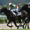 【ニンジン馬鹿クラブ週報（36）】先週はカスティーリャが新馬戦で惜敗！今週はジュビリーヘッドが復帰！【キャロット一口馬主】