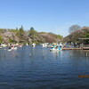 ４．１３．（土・快晴）井之頭。