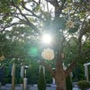 平成から令和へ－2019年度のはじまりの時に…