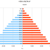 中国の人口ピラミッド　１９５０年～１９６０年