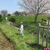うたちゃん日記♪2022/4/9土♪春の田んぼあそび