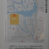 奈良時代の大阪河内平野の条里制