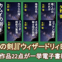 続・ウィザードリィ日記　未来はバラ色　矢野徹　アスキー Amazon.co.jp: ウィザードリィ日記 (角川文庫) eBook : 矢野 徹: 本
