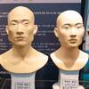 ネットに出回っている平均的な韓国人(韓民族)の顔模型は合成写真。