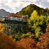 秋だ！秩父鉄道だ！紅葉とのショットを撮影