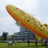 横浜みなとみらい 今年も大量発生してました1