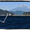 【富士山/静岡】