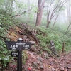 雲の谷川連峰縦走