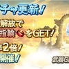 【グラブル】単発ガチャチケ300枚の暴力【グランデフェス】