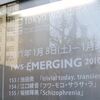 TWS-Emerging 153/154/155＠トーキョーワンダーサイト本郷 2011年01月9日(日）