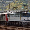 第1209列車　「　甲64 JR貨物 DF200-201の甲種輸送を狙う　」