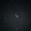 NGC7741 タイプの違う棒渦巻 ペガスス座