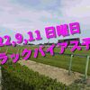 2022,9,11 日曜日 トラックバイアス予想 (中山競馬場、中京競馬場)