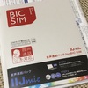 格安スマホへの乗り換え！（BIC SIMへ）