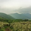 箱根外輪山トレイル　後編（長尾峠〜湖尻峠〜三国山〜山伏〜箱根町〜鷹巣山〜浅間山〜箱根湯本）