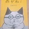 「めがねこ」絵本