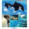 【愛知】名古屋港水族館で「水族館のモンスター」を見てきた