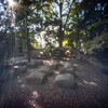 第1535回　八幡神の謎について