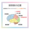 脳のお話　頭頂葉の働き
