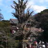 鶴岡八幡宮に初詣に行きました