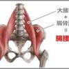 間違えてる！　脳卒中歩行の股関節伸展は腸腰筋だぞ！