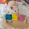 ハムスターのおもちゃ・木製ブロック🐹ひまわりの種を入れたらクルンクルン🎵