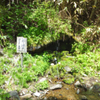 毛無峠イワカガミハイキングと高山村湯倉洞窟