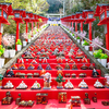 日本のひな祭りの由来とは？🎎