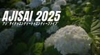 AJISAI 2025 Photo Gallery（ｱｼﾞｻｲﾃｩｴﾝﾃｨｰﾄｩｴﾝﾃｨｰﾌｧｲﾌﾞﾌｫﾄｷﾞｬﾗﾘ-）