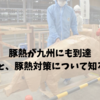 豚熱が九州にも到達｜その影響と、豚熱対策について知るべきこと