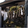 別格官幣社・護王神社（京都市上京区）の風景　part８