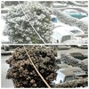 雪だー