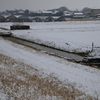 雪の釣り。